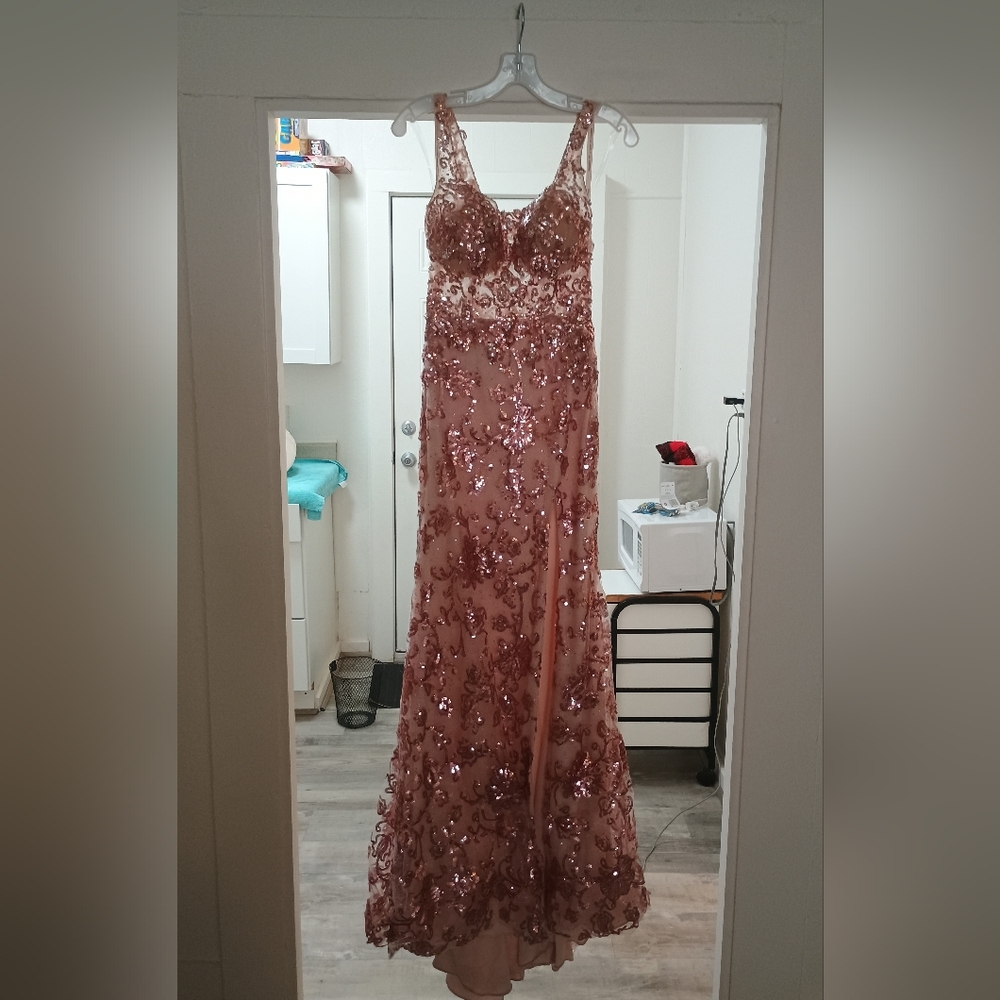 Morilee designer Pink Prom dress - Picture 1 of 9